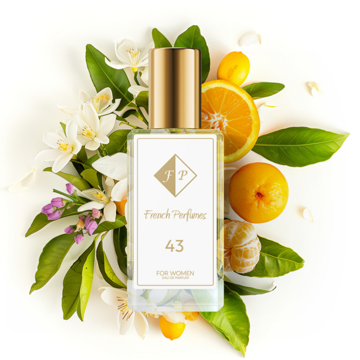 Perfume Inspired by Versace – Versus 33 ml – Gift for Her NR43